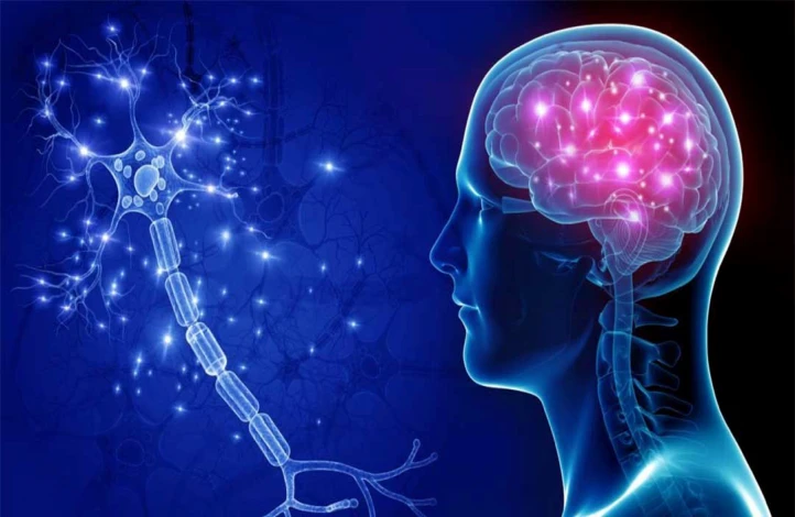 عصب شناسی-نورولوژی