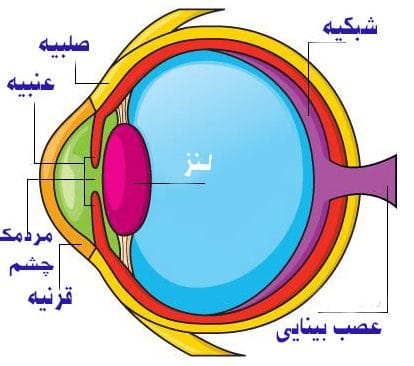 چشم پزشکی-افتالمولوژی